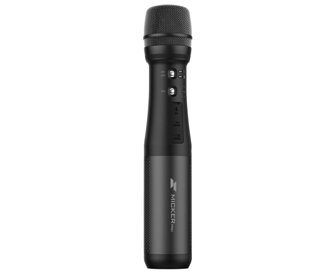 Portable PA Microphone